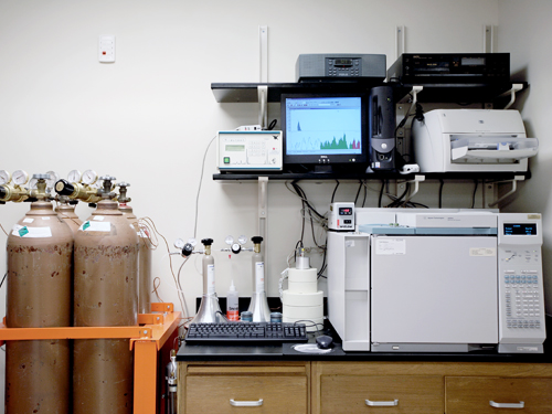 Gas chromatograph for separating gas mixtures into their components