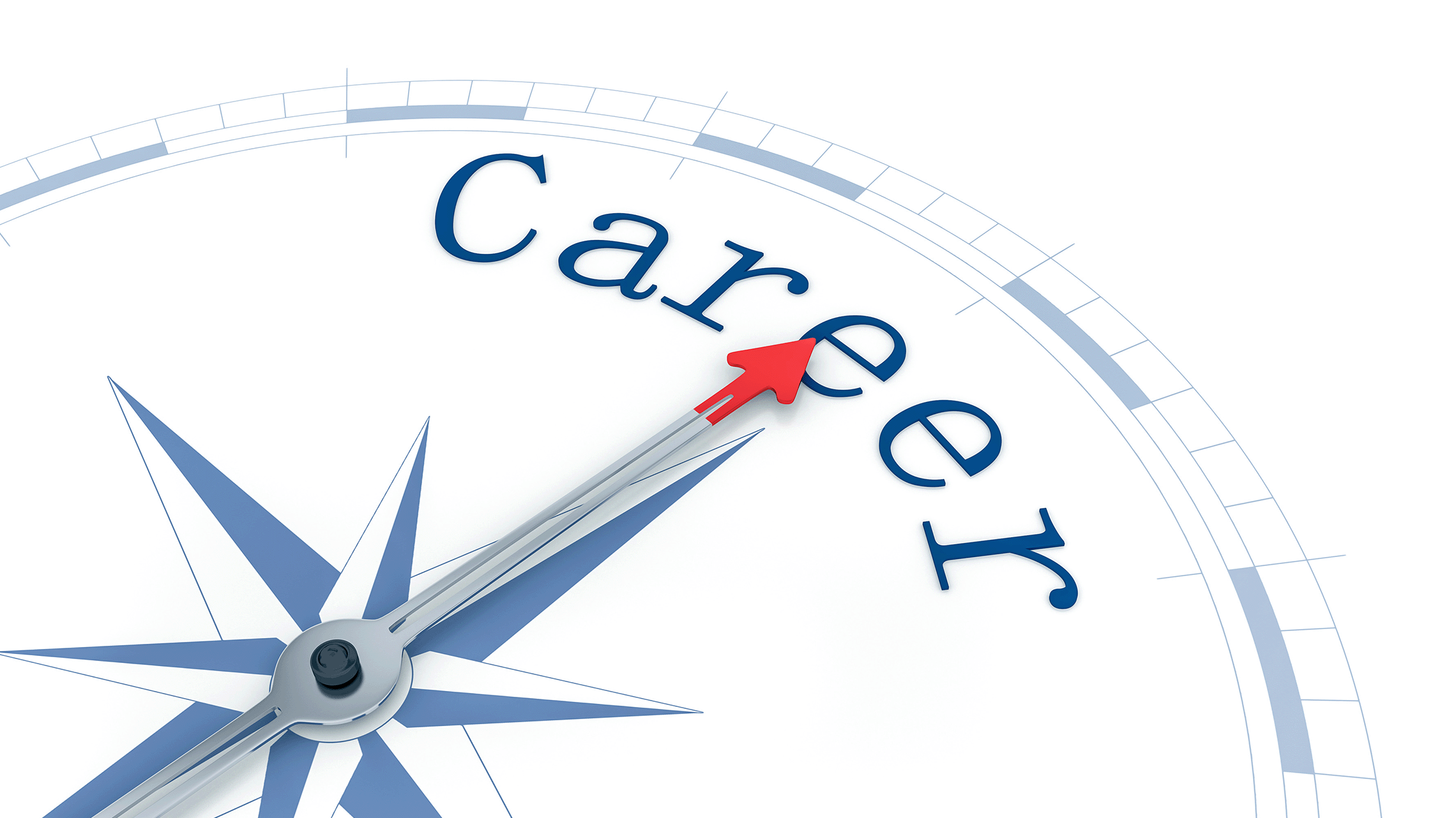 Career path compass