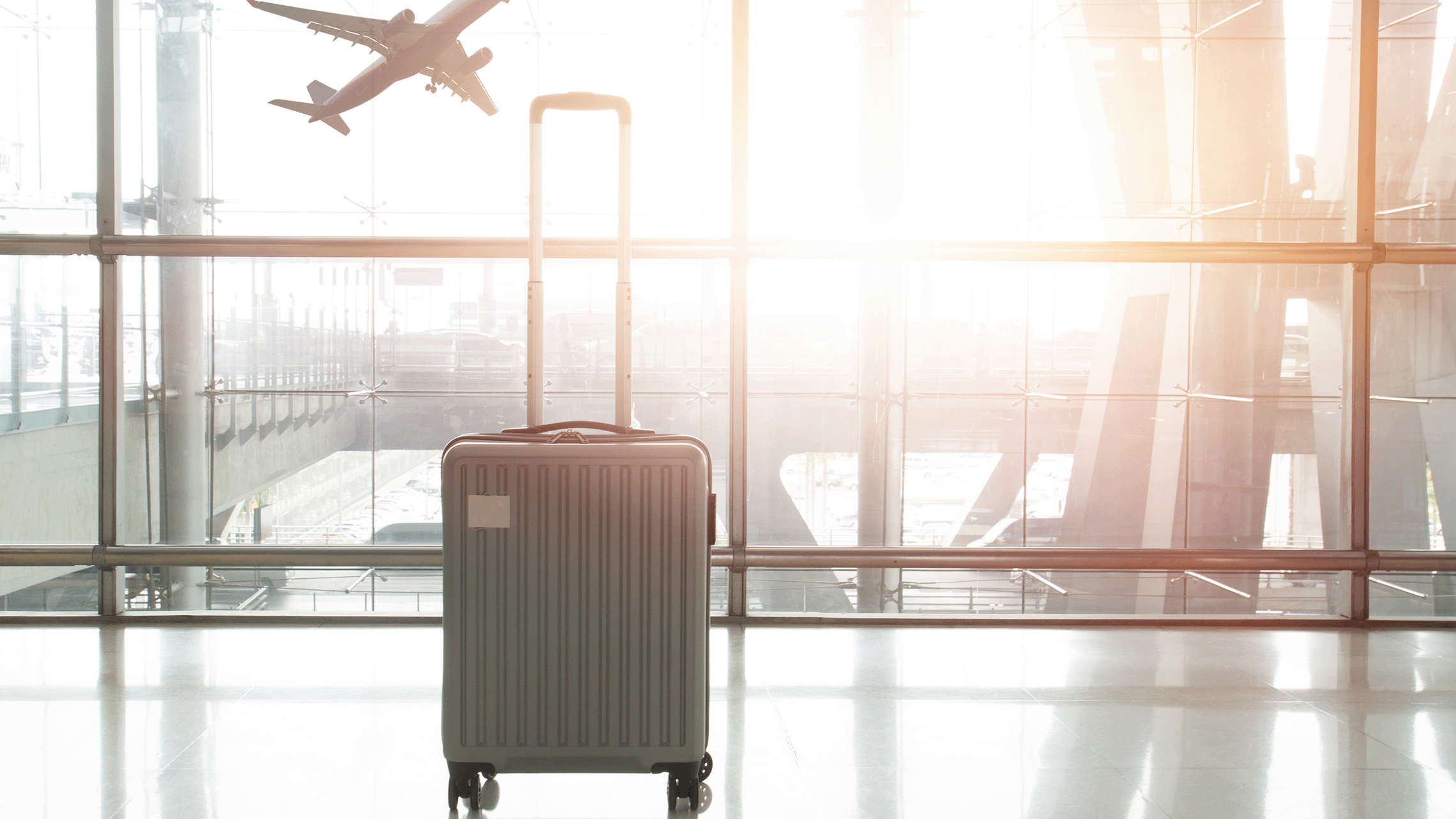Scene in an airport with plane and suitcase.