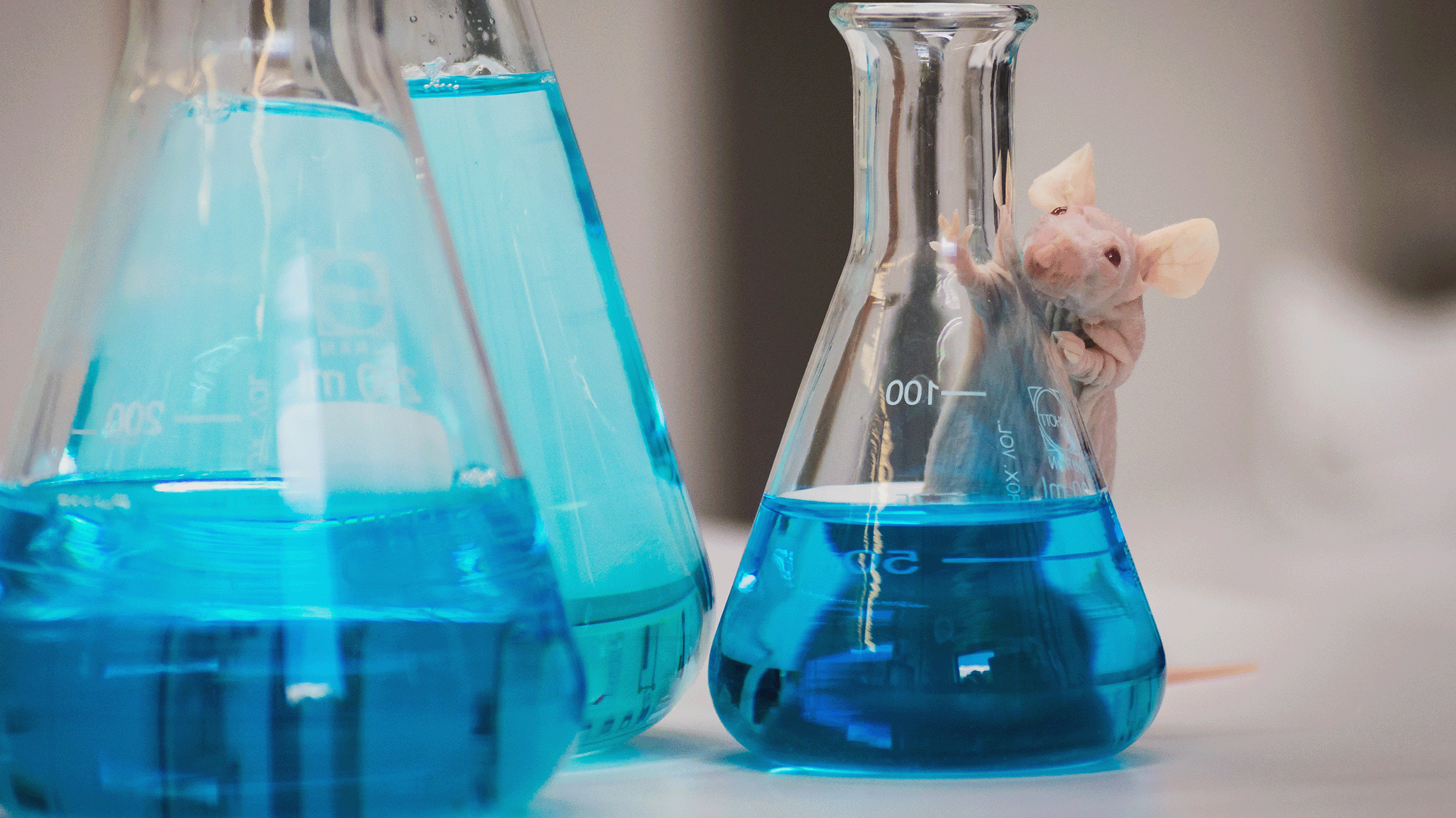 Naked mouse with beaker