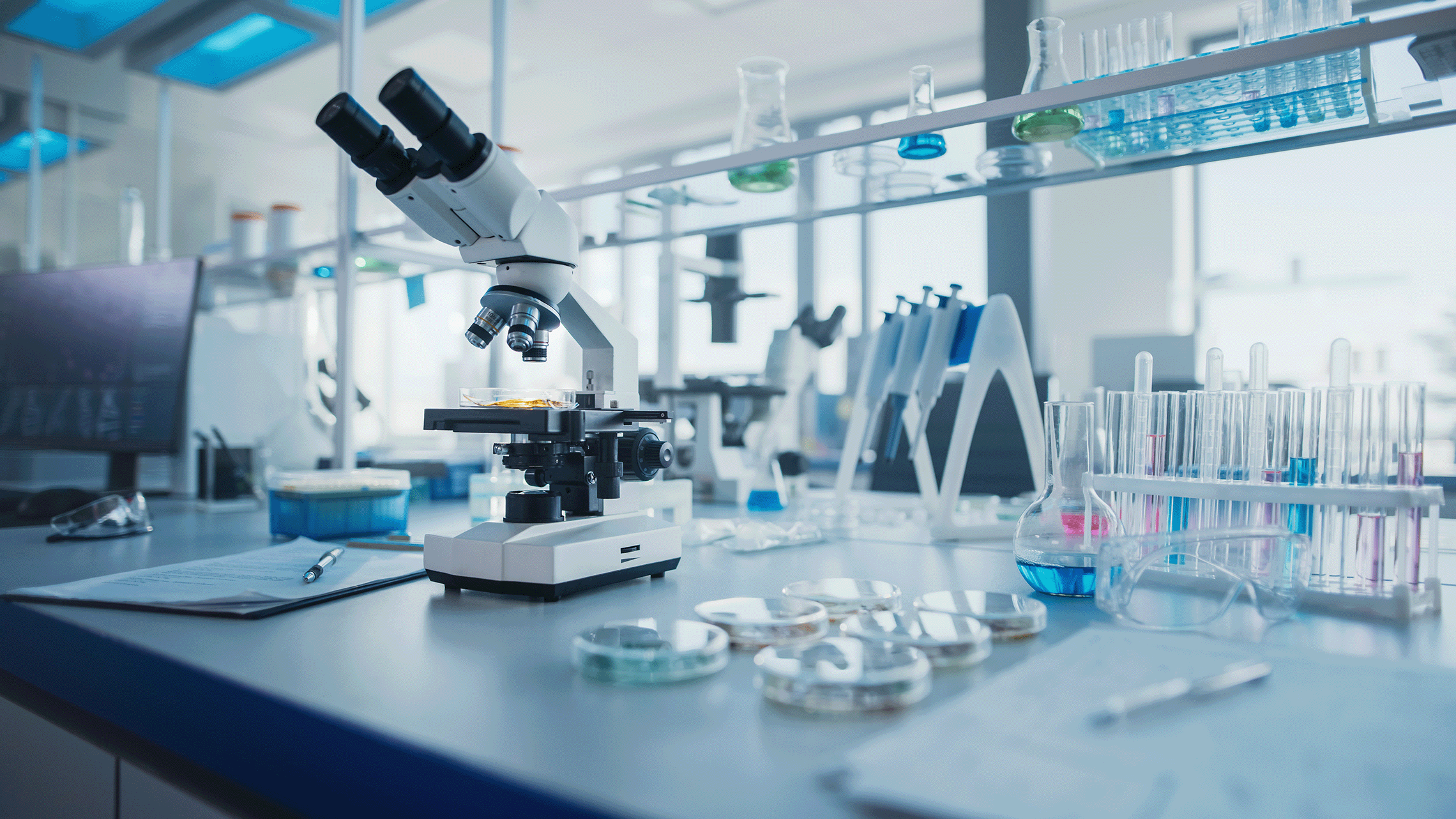 Photo of lab bench with samples and microscope