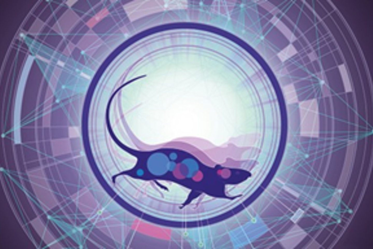  Molecular Transducers of Physical Activity Consortium