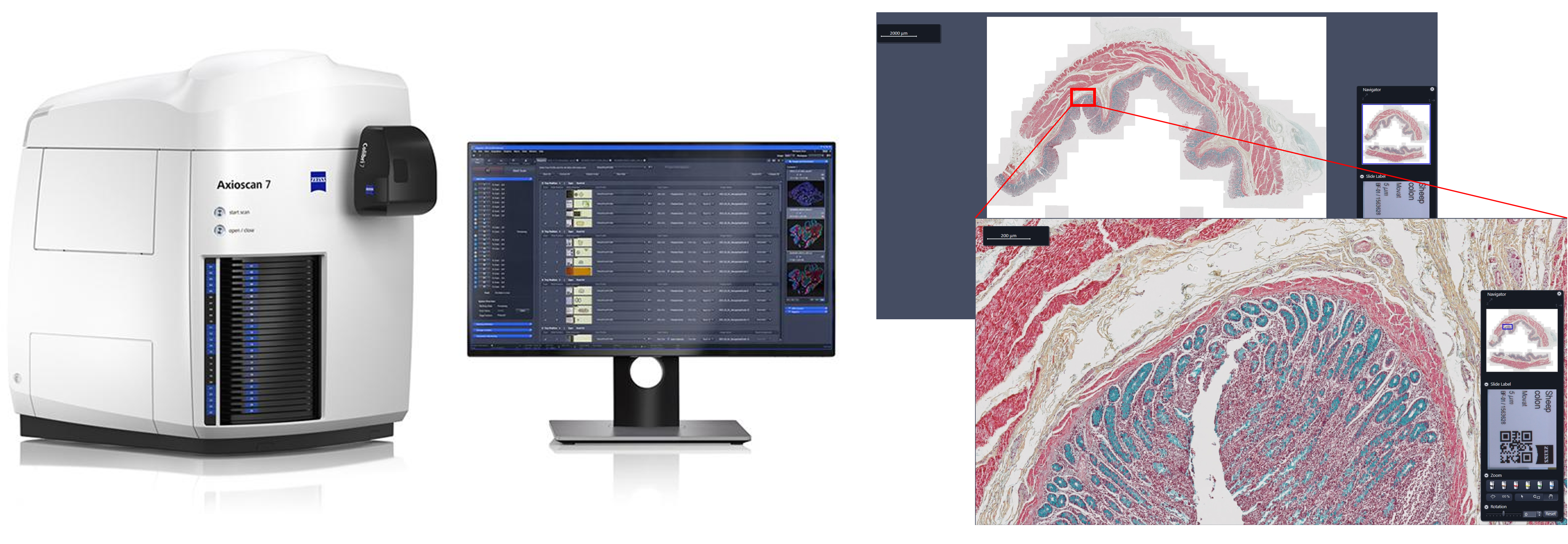 Zeiss Slide Scanner 