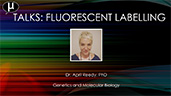 Fluorescence Labeling