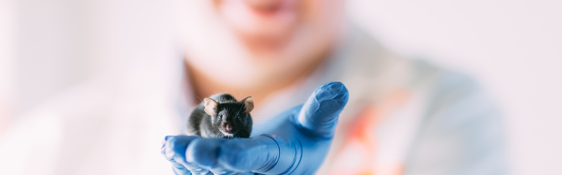 Man holding mouse 