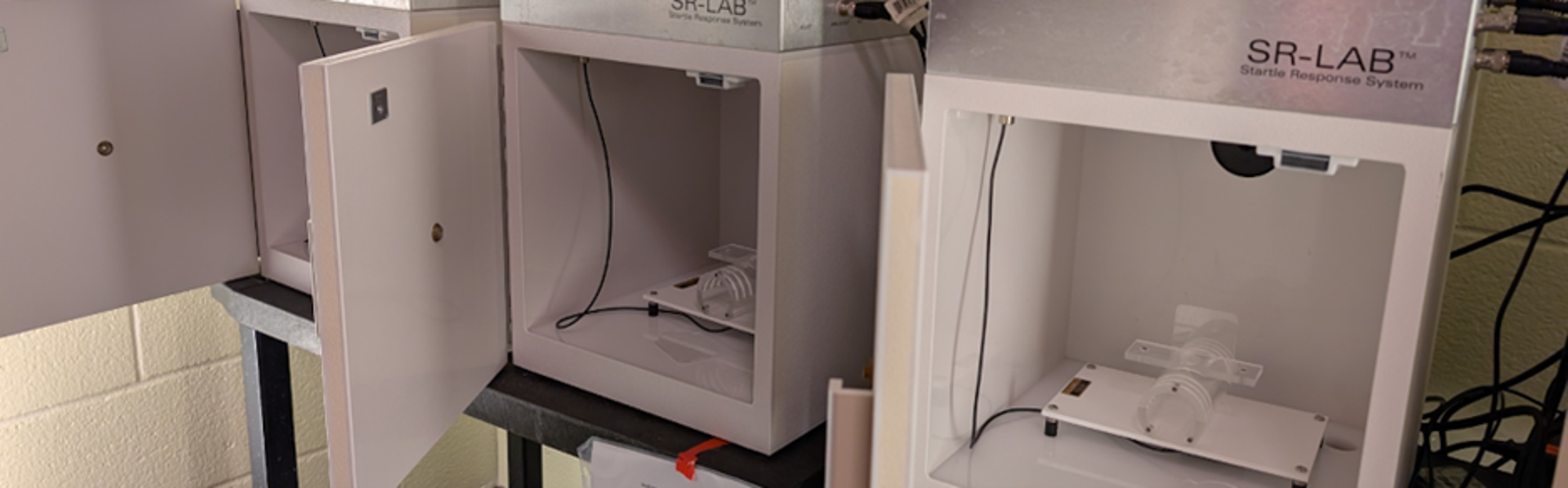 Rodent behavior Equipment